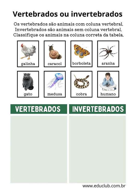 É vertebrado ou invertebrado? | Educlub